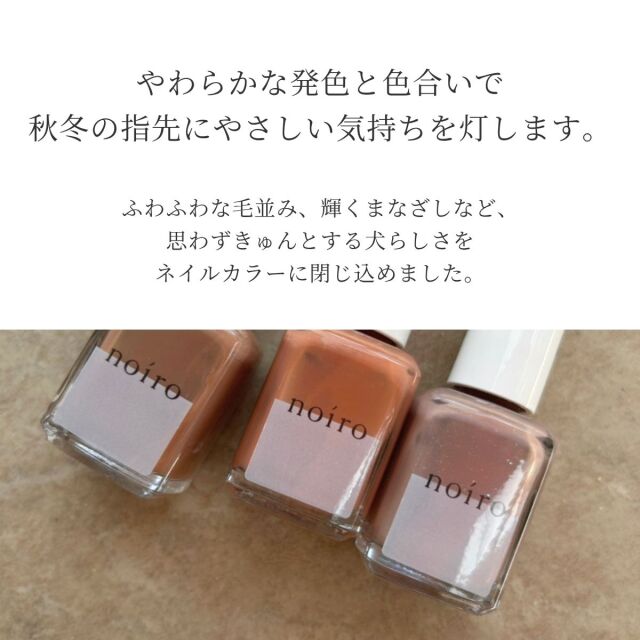 noiro ネイルカラー 2025 秋 冬 11ml ノイロ 爪に 優しい