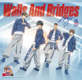 「Walls And Bridges〔初回生産限定盤〕」青酢