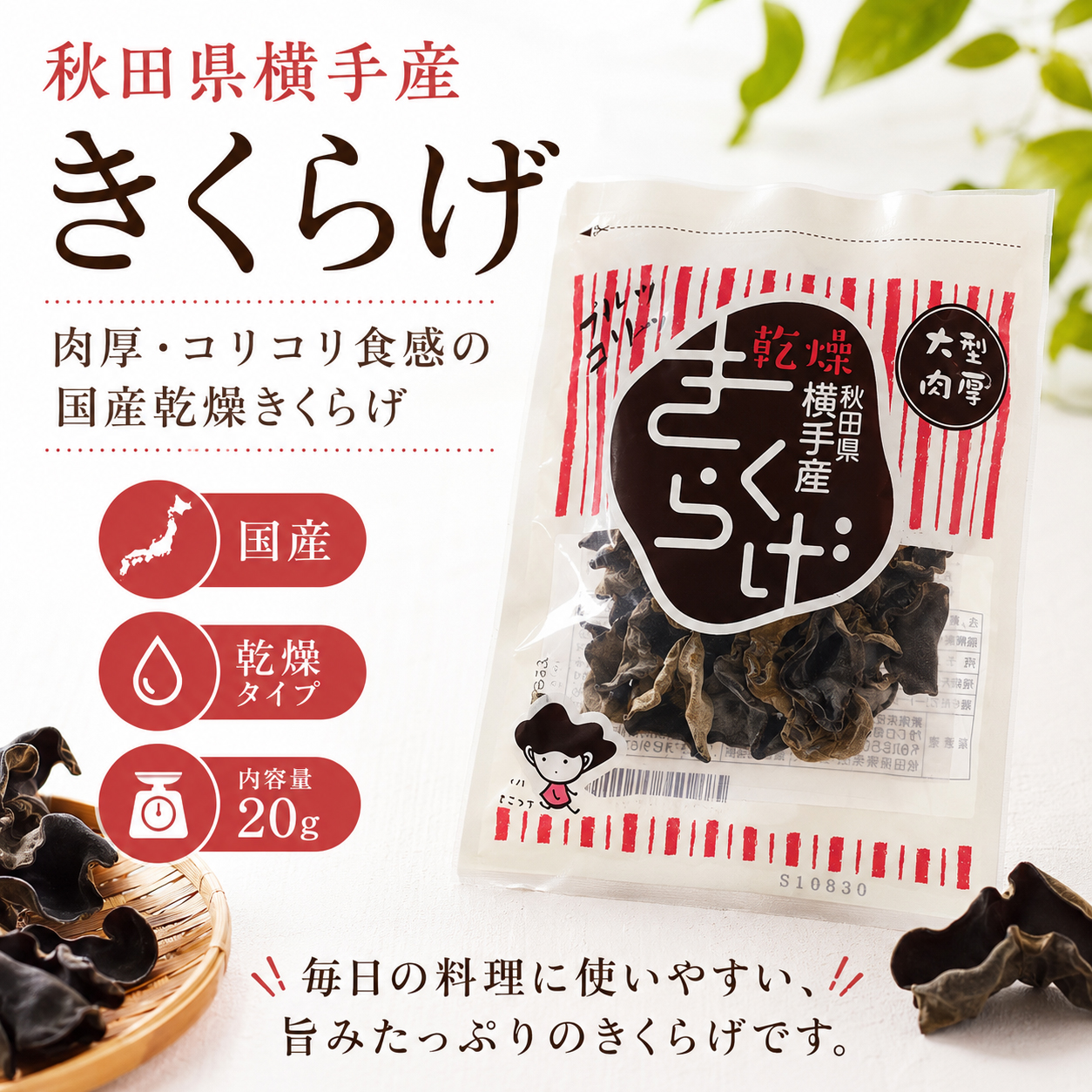 乾燥きくらげ 国産（秋田県産） 20グラム 無農薬 横手市