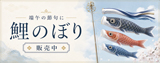 鯉のぼり