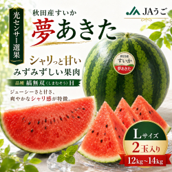 すいか