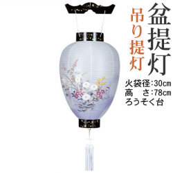 盆提灯