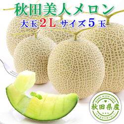 秋田美人メロン 5玉 2L 糖度15度以上【出荷期間:7月中旬～8月上旬まで】 ※ご注文順に順次発送/お届け日指定不可