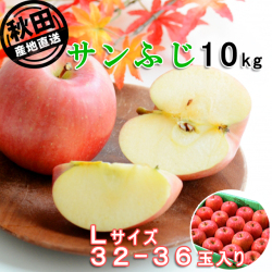 秋田産ふじりんご