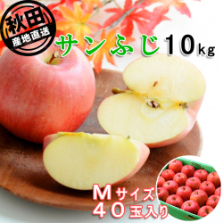 秋田産ふじりんご