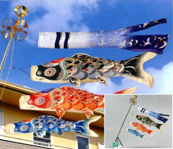 【鯉のぼり】皇彩　1.5m スタンドセット　翔鶴ゴールド吹流し（水袋付き）