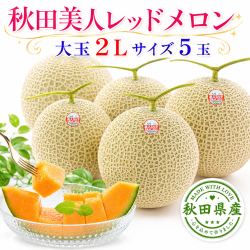 秋田 美人レッドメロン 5玉 2L 糖度15度以上 化粧箱入り 赤肉メロン ギフト 贈答用 【お届け日指定不可／7月中旬から順次発送】