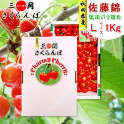 【終売】秋田県三関産 さくらんぼ 佐藤錦 (1kg 大粒 Lサイズ バラ詰め)   JAこまち チャーミーチェリー【お届け日指定不可・6月中旬から順次発送】
