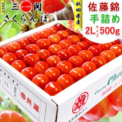 【終売】秋田県三関産 さくらんぼ 佐藤錦 (500g 超大粒 2Lサイズ 手詰) JAこまち チャーミーチェリー【お届け日指定不可・6月中旬から順次発送】