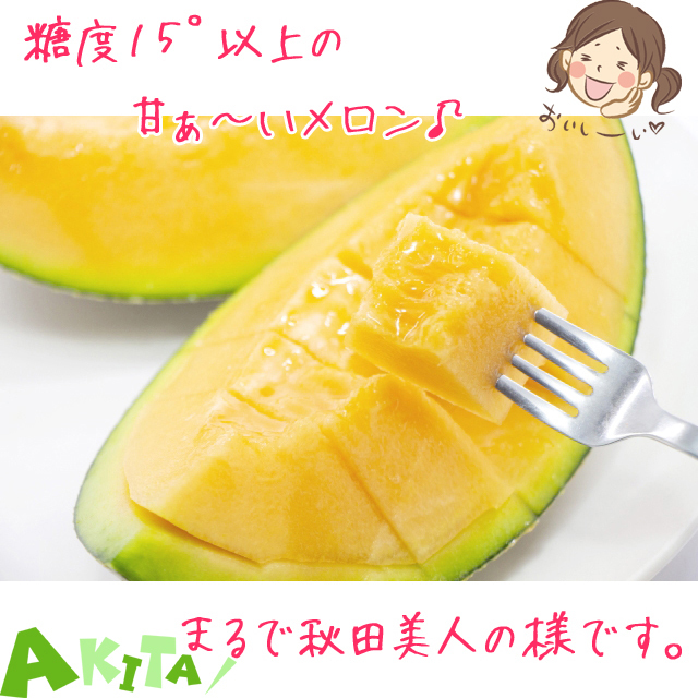 メロン 美人レッドメロン 2玉（3L） 化粧箱入り 秋田から全国へお届け