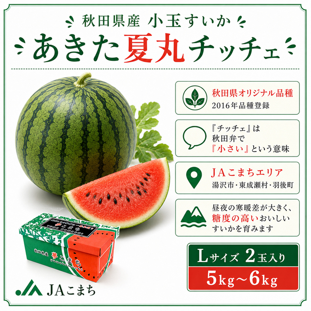 秋田県産 小玉すいか「あきた夏丸チッチェ」Lサイズ2玉入り 5kg～6kg