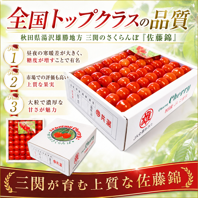 秋田県三関産さくらんぼ 佐藤錦 500g 大粒Lサイズ 手詰め｜JAこまち