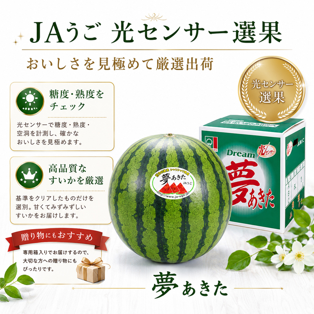 秋田産すいか「夢あきた」超大玉5Lサイズ 1玉10～12kg｜JAうご 光