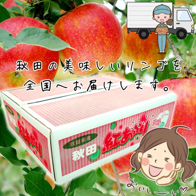 秋田産りんご 紅あかり 10kg Mサイズ 40玉 jaかづの 鹿角市