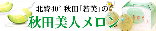 秋田産メロン「秋田美人」