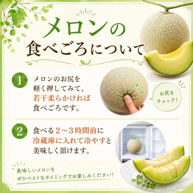 メロン農家直送　訳あり　6玉入り8キロ 糖度は十分あります 食品 メロン農家直送 訳あり 6玉入り8キロ 糖度は十分あり