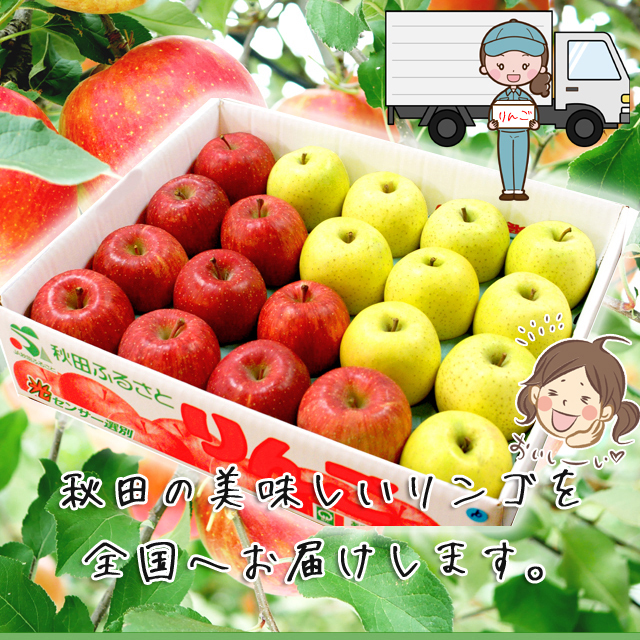 秋田産りんご サンふじ,王林 ミックス 5キロ 20玉