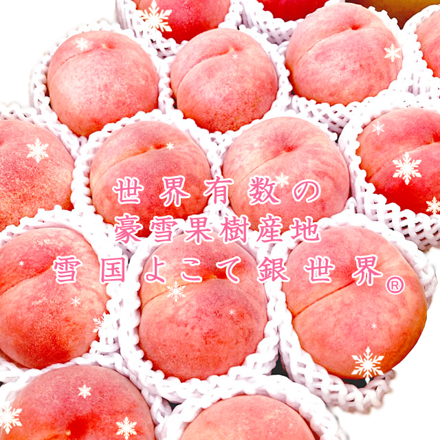 秋田県横手産,白桃,JA秋田ふるさと「雪国よこて銀世界 桃（白桃
