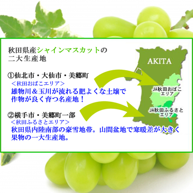 秋田県 シャインマスカット,700g,1房入,ja秋田ふるさと,ja秋田おばこ