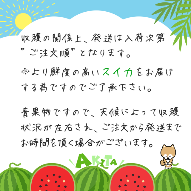 早い者勝ち‼️WASPE ストロベリースイカ＆ミックスフルーツ ストロベリー・スイカ・バブルガム＆ミックスフルーツ - WASPE