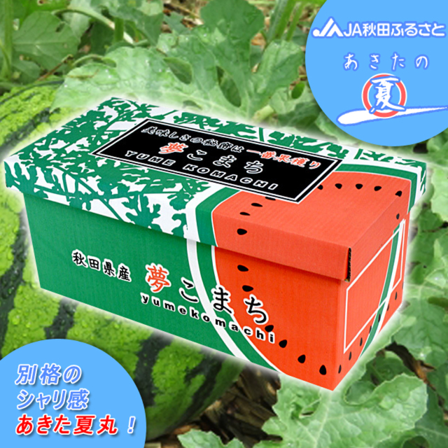 チマチョゴリ３点 セフティー3 充電刈払用 チップソー 2枚組 255×36P(255