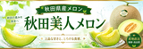 秋田美人メロン