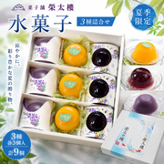 菓子舗 榮太楼 水菓子 3種詰合せ 9個入｜さなづらゼリー・みかんゼリー・葛ようかん 各3個 秋田銘菓 夏ギフト お中元