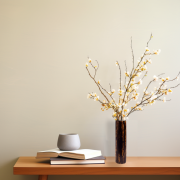 樺細工（桜皮細工）