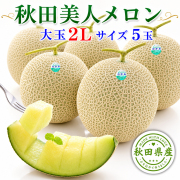 秋田美人メロン 5玉 2L 糖度15度以上【出荷期間:2026年7月中旬～8月上旬まで】 ※ご注文順に順次発送/お届け日指定不可