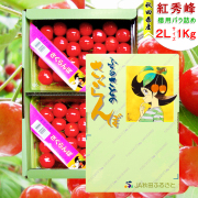 【終売】秋田県増田産 さくらんぼ 紅秀峰 (1kg 超大粒 2Lサイズ バラ詰め) JA秋田ふるさと【お届け日指定不可・7月上旬から順次発送】