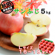 秋田産りんご サンふじ5kg Lサイズ16～18玉　出荷期間:11月下旬～12月中旬