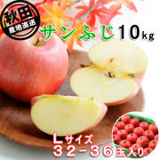 秋田産ふじりんご