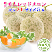 秋田 美人レッド メロン 5玉 2L 糖度15度以上【出荷期間:7月中旬～8月上旬まで】 ※ご注文順に順次発送/お届け日指定不可