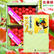 【終売】秋田県増田産 さくらんぼ 佐藤錦 (1kg 大粒 Lサイズ バラ詰め) JA秋田ふるさと【お届け日指定不可・6月中旬から順次発送】