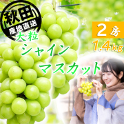 シャインマスカット