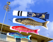 鯉のぼり,こいのぼり,スタンドセット,ガーデンセット,ベランダ