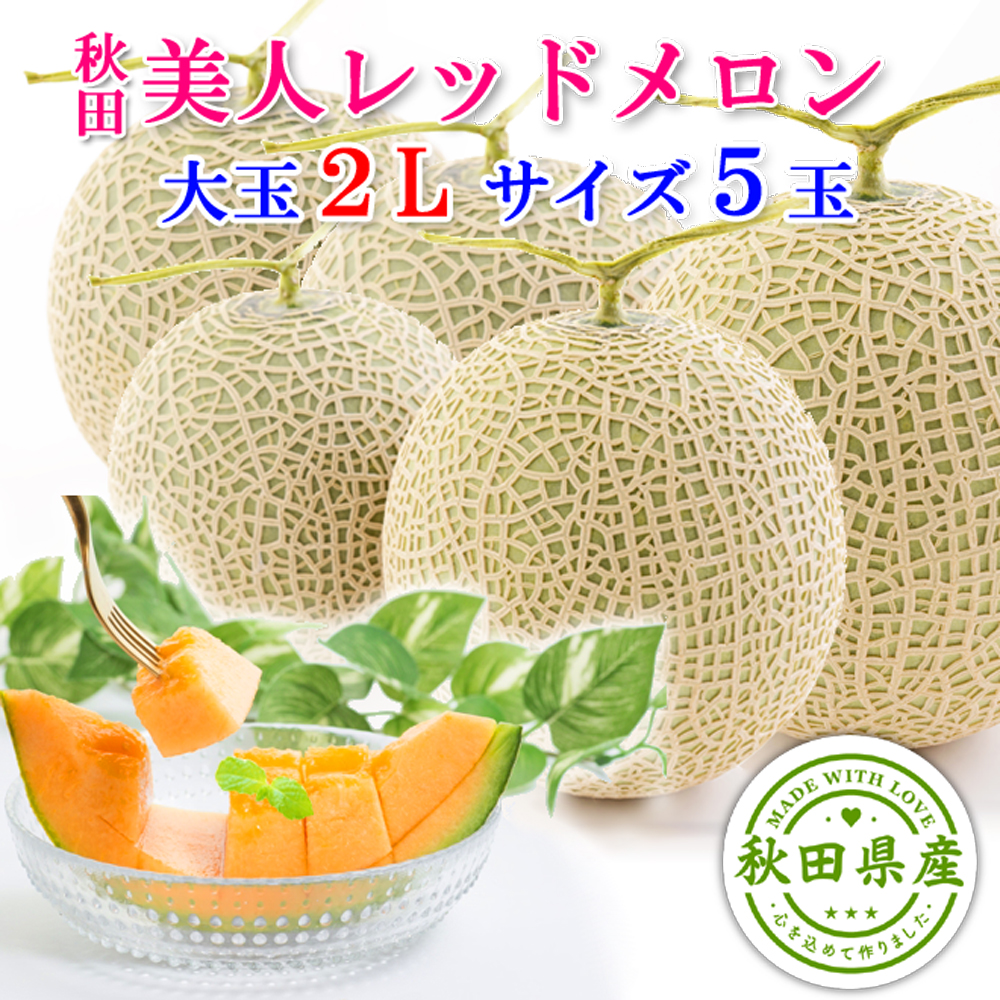 秋田 美人レッド メロン 5玉 2L 糖度15度以上【出荷期間:7月中旬～8月上旬まで】 ※ご注文順に順次発送/お届け日指定不可