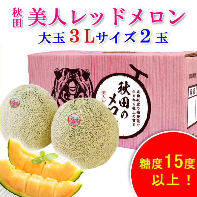 秋田美人メロン