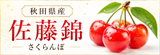 佐藤錦