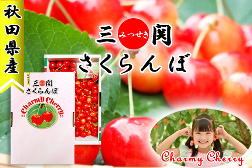 秋田県産さくらんぼ 佐藤錦・紅秀峰 秋田美人メロン 販売 -桜竹