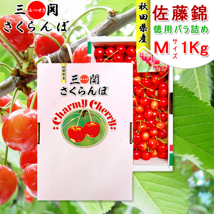 【終売】秋田県三関産 さくらんぼ 佐藤錦 (1kg Mサイズ バラ詰め) JAこまち チャーミーチェリー【お届け日指定不可・6月中旬から順次発送】