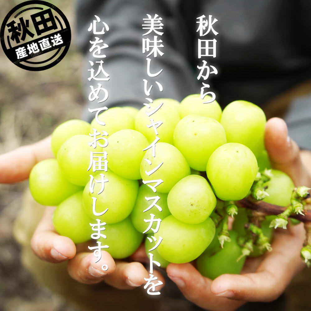 秋田特産品のお取り寄せ通販｜秋田県産 北限の桃・秋泉 かほり梨 販売 桜竹