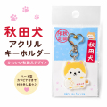 秋田犬