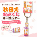 秋田犬