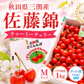 秋田県三関産 さくらんぼ 佐藤錦 (1kg Mサイズ バラ詰め) JAこまち チャーミーチェリー【お届け日指定不可・6月中旬から順次発送】