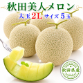 秋田美人メロン 5玉 2L 糖度15度以上【出荷期間:2026年7月中旬～8月上旬まで】 ※ご注文順に順次発送/お届け日指定不可