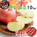 秋田産ふじりんご