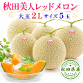 秋田 美人レッド メロン 5玉 2L 糖度15度以上【出荷期間:2026年7月中旬～8月上旬まで】 ※ご注文順に順次発送/お届け日指定不可