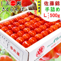秋田県三関産 さくらんぼ 佐藤錦 (500g 大粒 Lサイズ 手詰め)  JAこまち チャーミーチェリー【お届け日指定不可・6月中旬から順次発送】