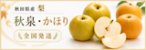 秋泉・かほり梨